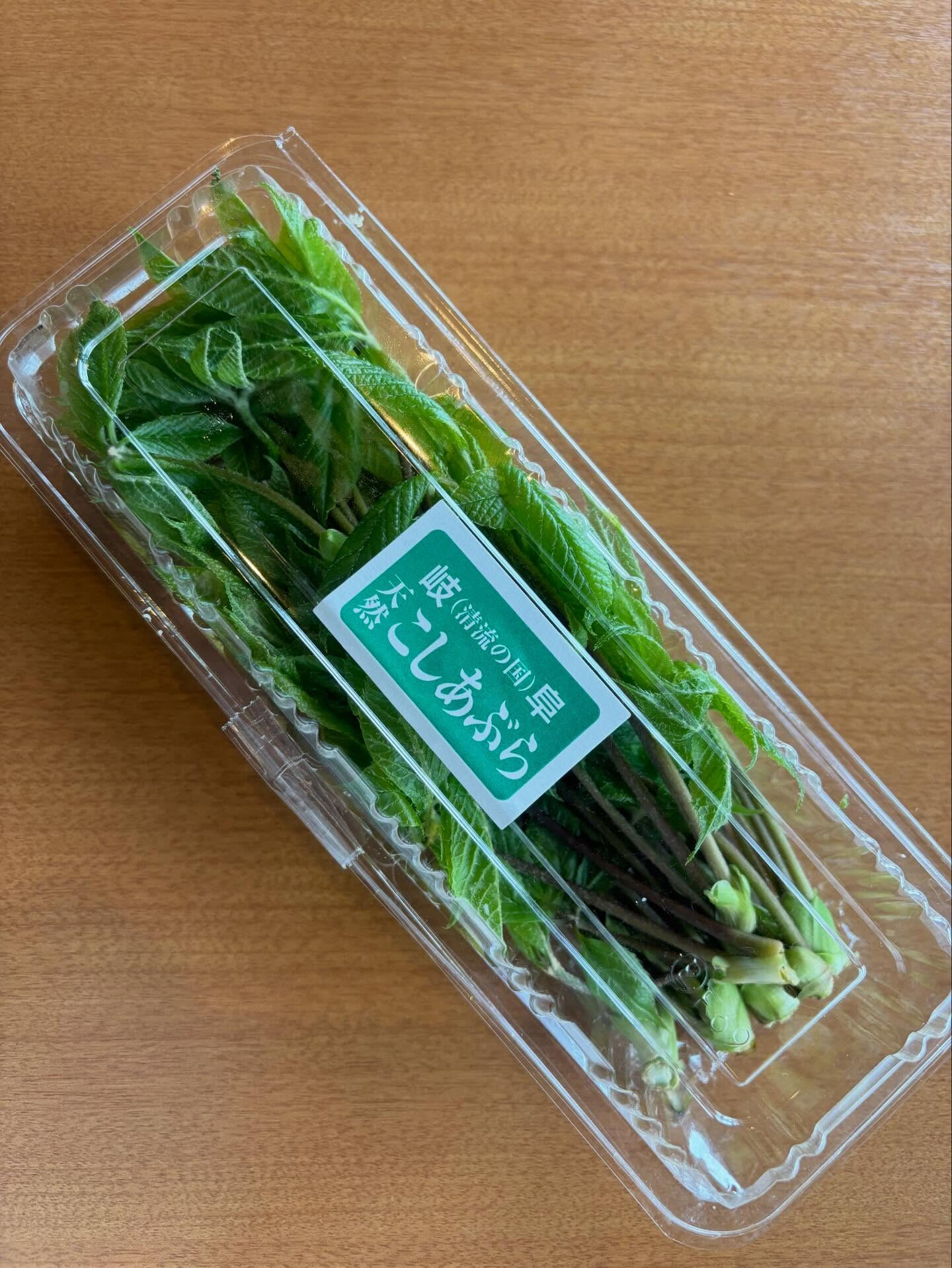 【各務原でつけ麺と共に天ぷら！今なら山菜天ぷらが旨し】