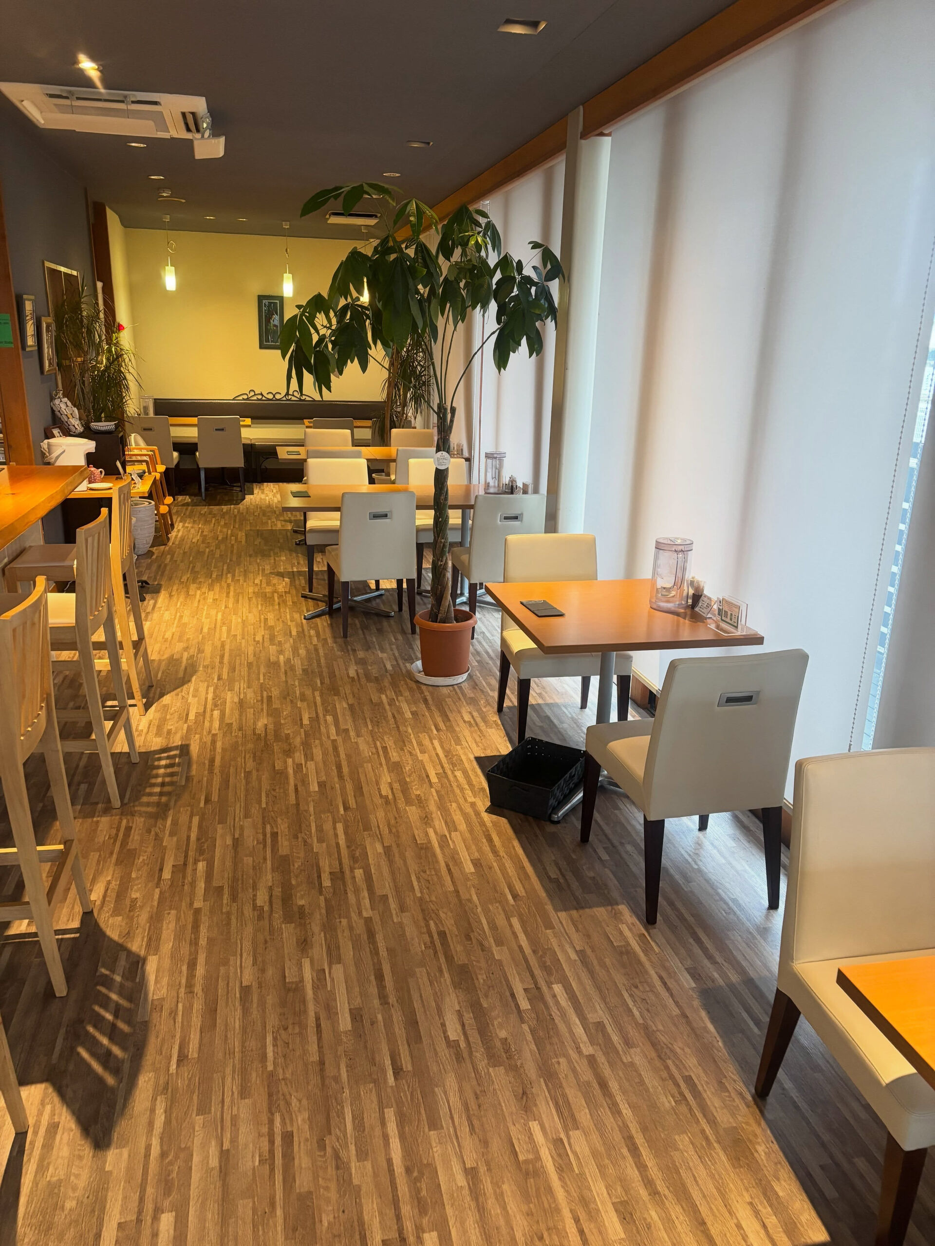 【各務原ランチ/平日限定ランチ】